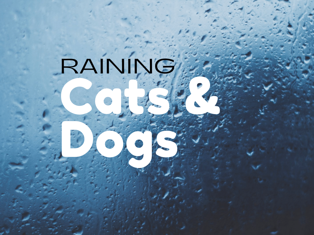 ORIGINS OF COMMON&nbsp;PHRASES