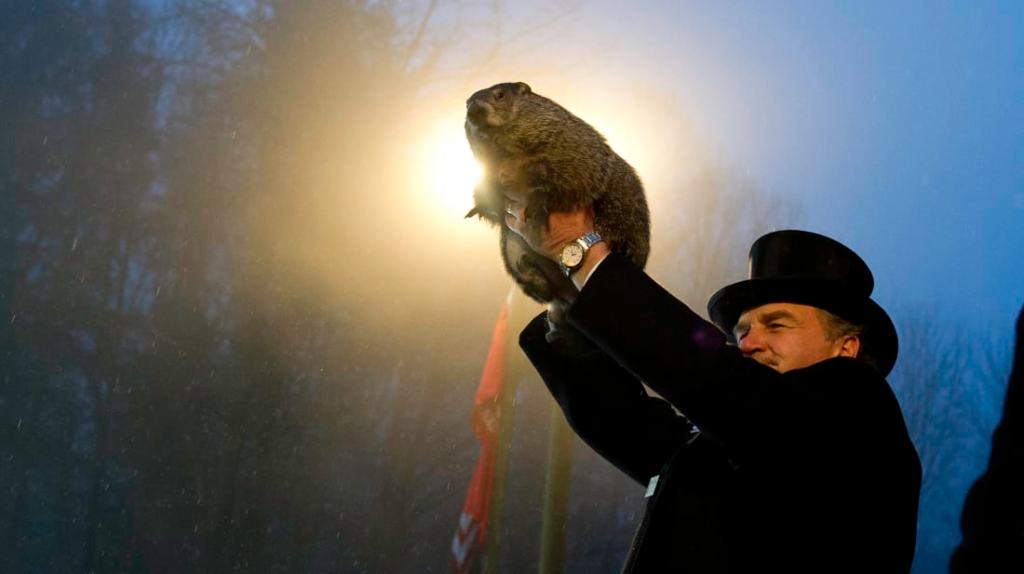 DID HE OR DIDN’T HE? (HE&nbsp;DID)