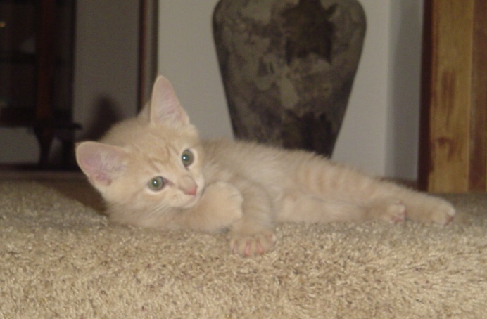 SAYING GOODBYE TO A SPECIAL&nbsp;FRIEND