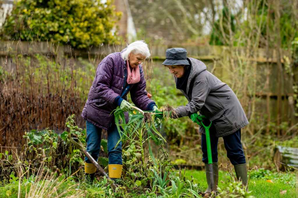 JOINING A COMMUNITY&nbsp;GARDEN
