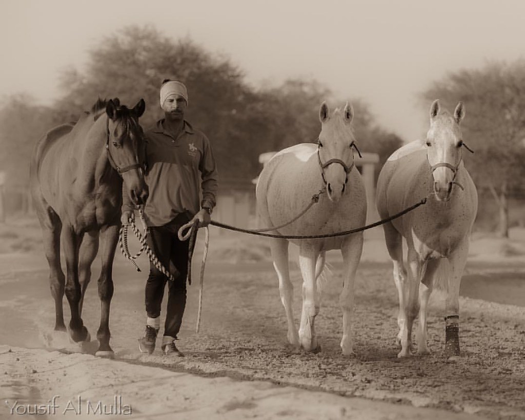 QUESTIONING THE STORIES WE TELL&nbsp;OURSELVES