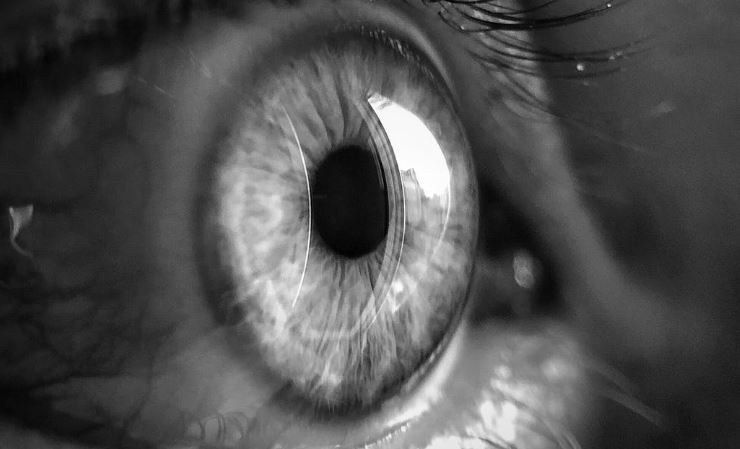 EVERYTHING YOU SEE IS FROM 15 SECONDS IN THE&nbsp;PAST?