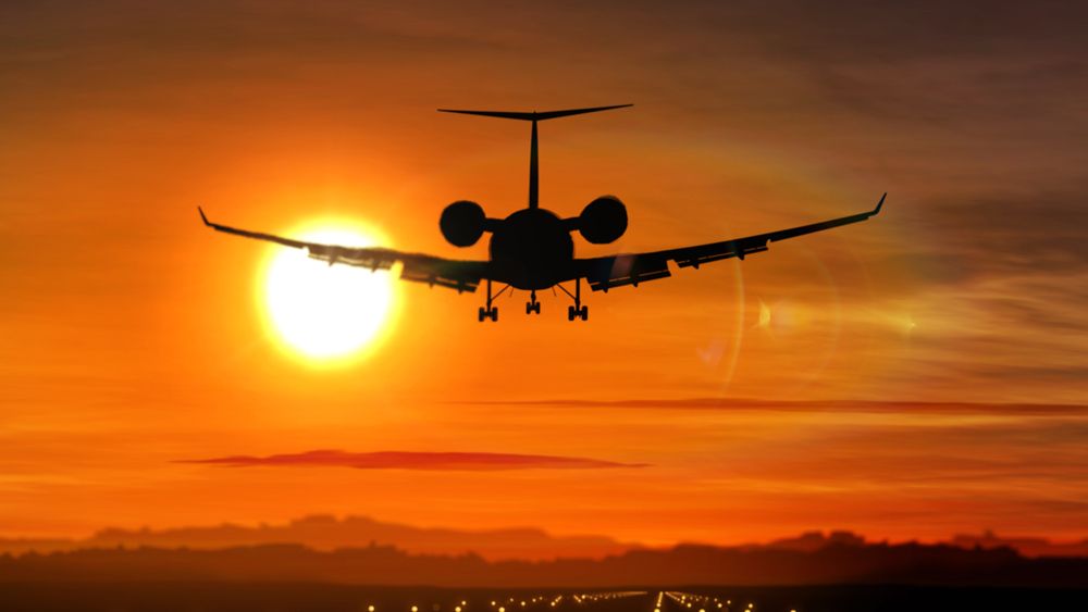 TWO (FREE) TICKETS TO PARADISE (Daily&nbsp;Prompt)